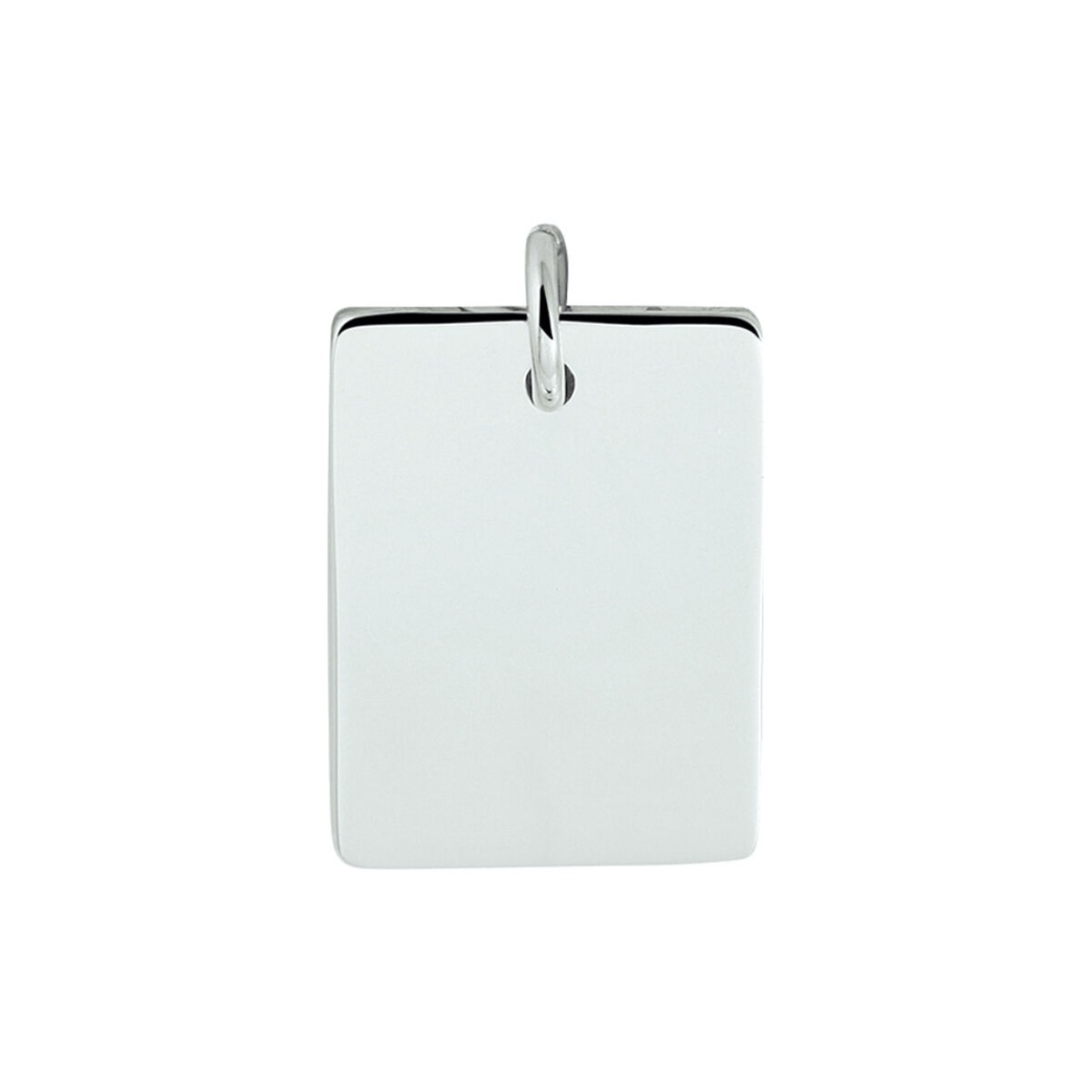 Zilver grav.plaat