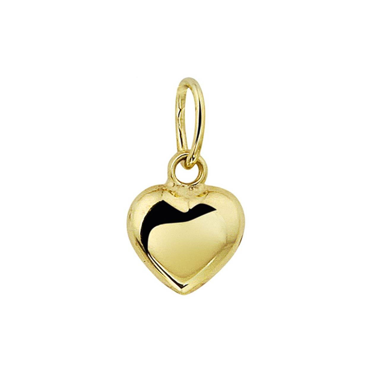Geelgouden hanger met een hart uitgevoerd met een stevig hangoog. De hanger is ook verkrijgbaar in het wigoud.