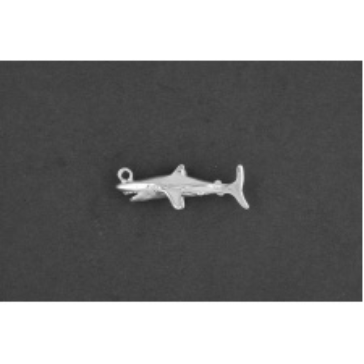 Haai zilver
De bedel maat is in mm Lengte x Hoogte ± L 24.52 x H 6.78