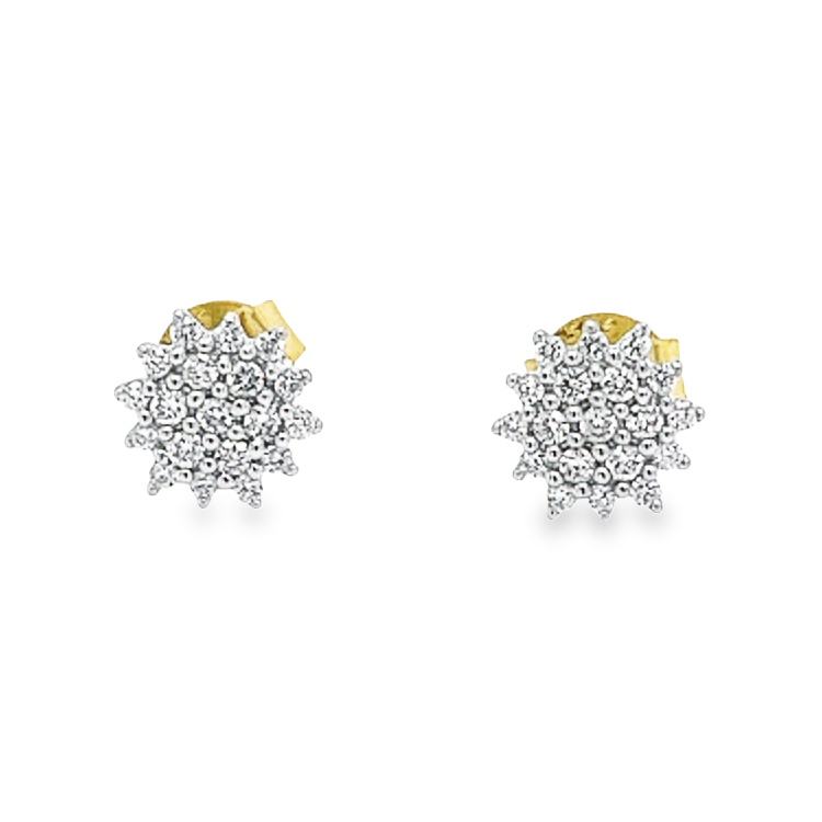 Deze 14-karaats geel gouden oorstekers zijn werkelijk schitterend en hebben een mooie fijne uitstraling. De steentjes zijn briljant geslepen diamantjes met 0,25 totaal karaat gewicht met zuiverheid SI1. De zetpootjes zijn witgoud van kleur waardoor de schittering van de diamantjes optimaal wit van kleur is.