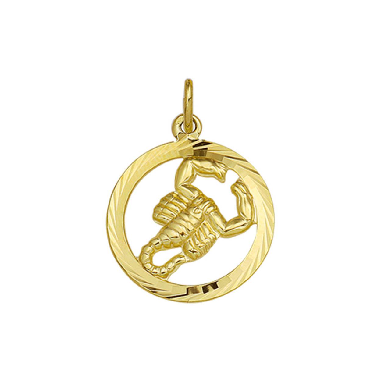 14k sterrenbeeld hanger schorpioen