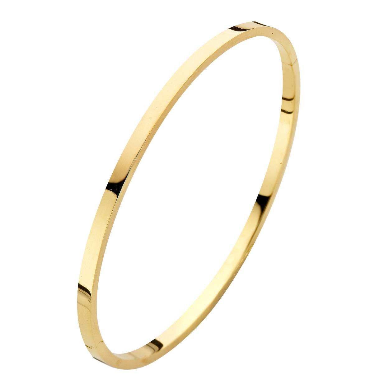 gouden slavenarmband met zilveren kern, 2,5x58mm