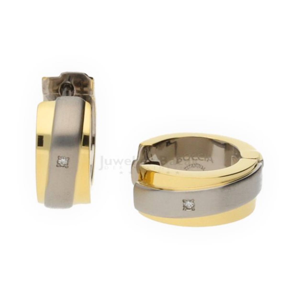 Boccia oorsieraad titanium en verguld met diamant