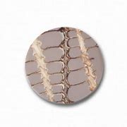 Mi moneda Print beuge NAT-MA-64-M