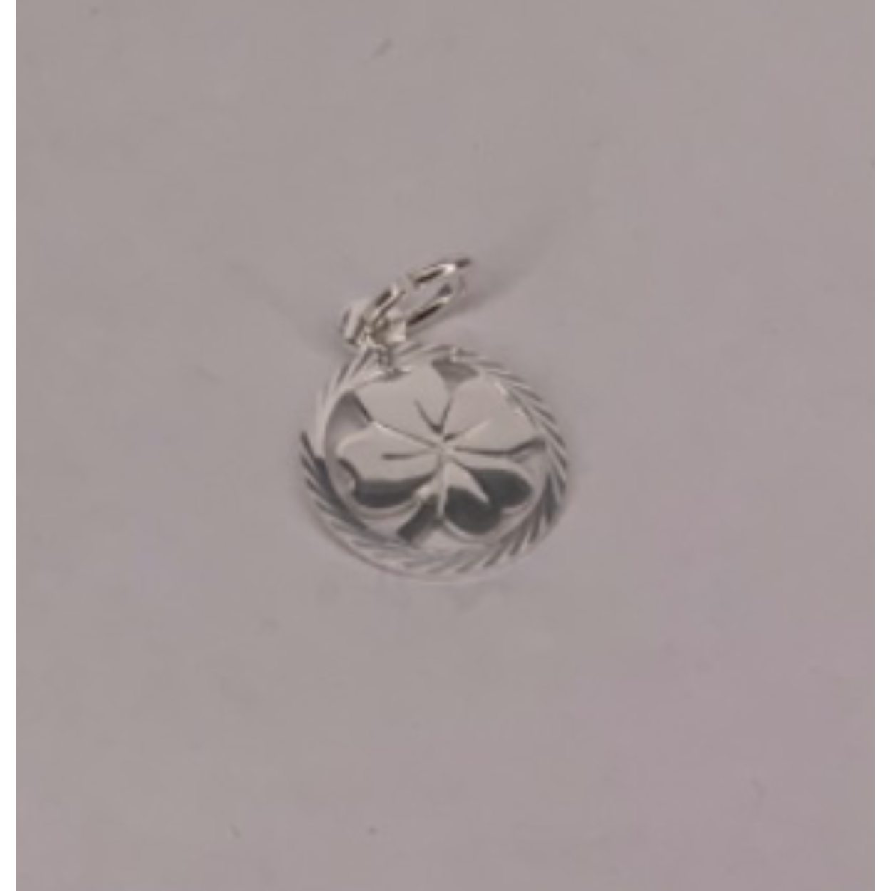 Zilver klavertjevier 