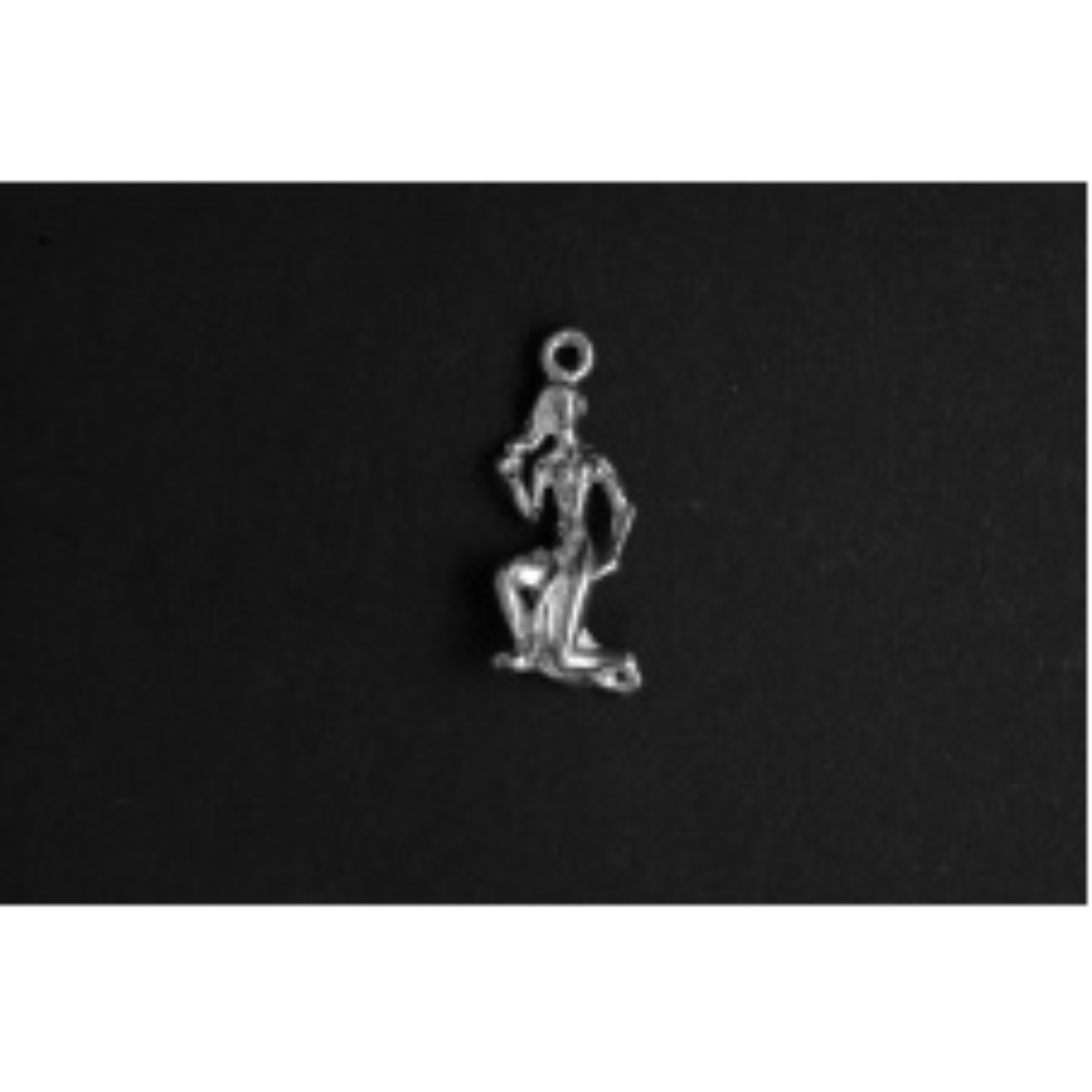 Sterrenbeeld Maagd zilver
De bedel maat is in mm Lengte x Hoogte
± L 9.60 x H 21.37