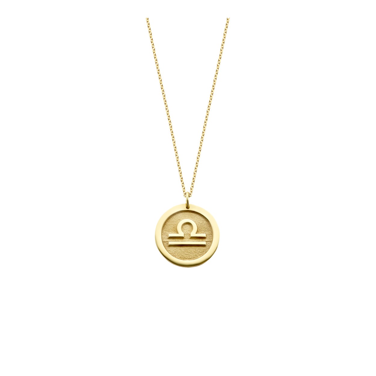 Met deze Just Franky Carved Coin Necklace draag je jouw geliefde altijd dicht bij je hart. Kies een initiaal van je ‘loved one’ en stel jouw perfecte Just Franky ketting samen. Deze ketting is verkrijgbaar in 14k massief geel-, wit- of rosègoud.
