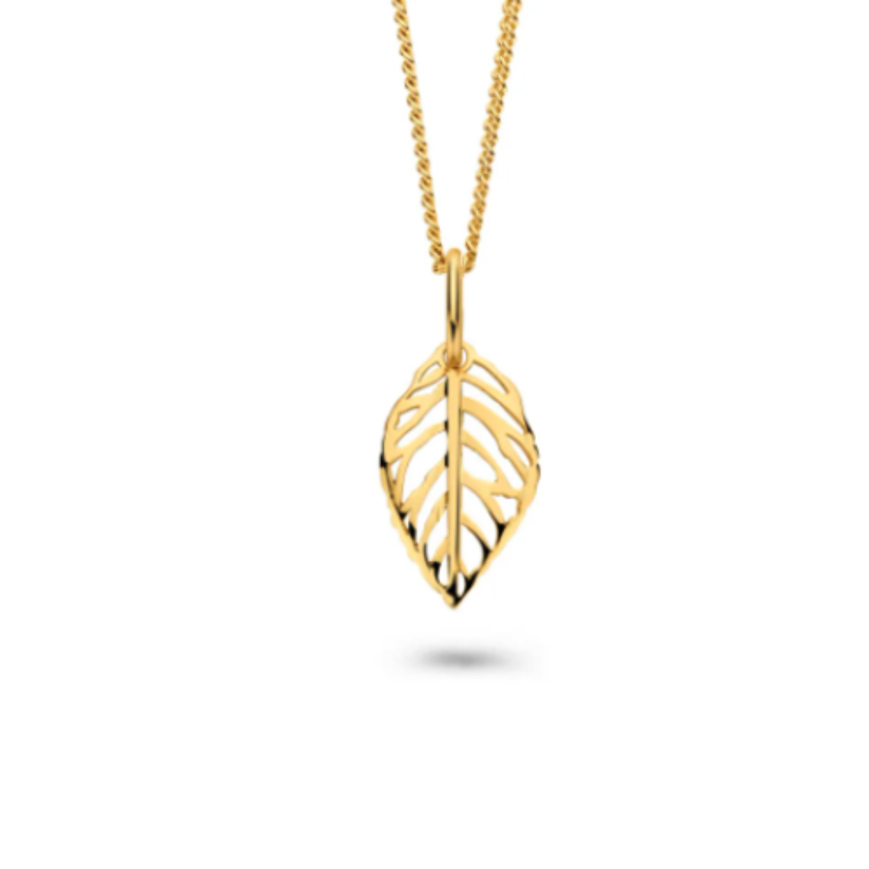 Gouden hanger veer