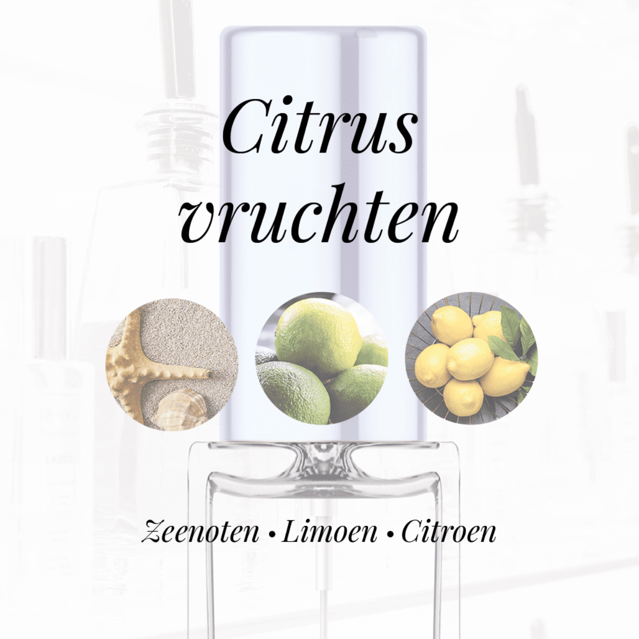 Eigenschappen
Geur: Citrusvruchten
Waarneembare geuren: Citroen, Limoen, Zeenoten
Sillage: Midden
Seizoen: Lente/Zomer
Eigenschap: Spontaan
Stijl: Sportief
Geurgroep: Aromatisch Aquatisch
Hoofdakkoorden: Citrusvruchten, Aromatisch, Maritiem, Fris kruidig, Bloemig, Groen
Top noten: Sinaasappel, Limoen, Mandarijn, Jasmijn, Bergamot, Citroen en Neroli
Midden noten: Cyclamen, Nootmuskaat, Reseda, Koriander, Viooltje, Fresia, Zeenoten, Perzik, Hyacint, Roos, Jasmijn, Rozemarijn en Calone
Basis noten: Amber, Patchouli, Eikenmos, Ceder en Witte musk