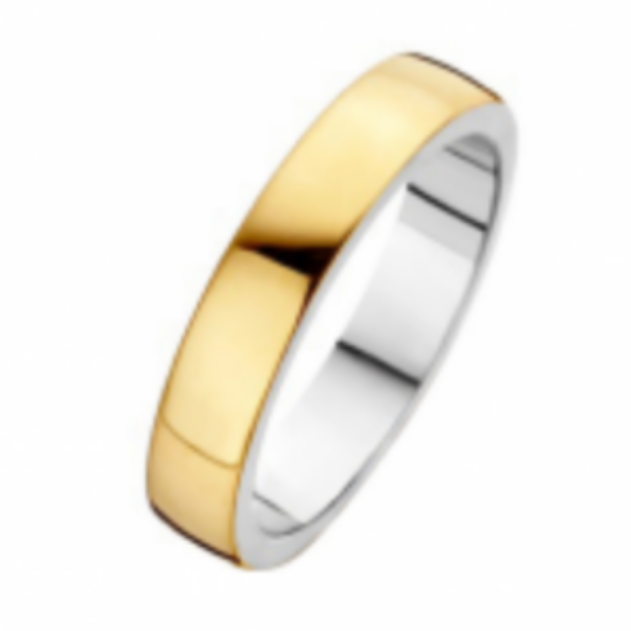 Fjory ring goud met zilver.