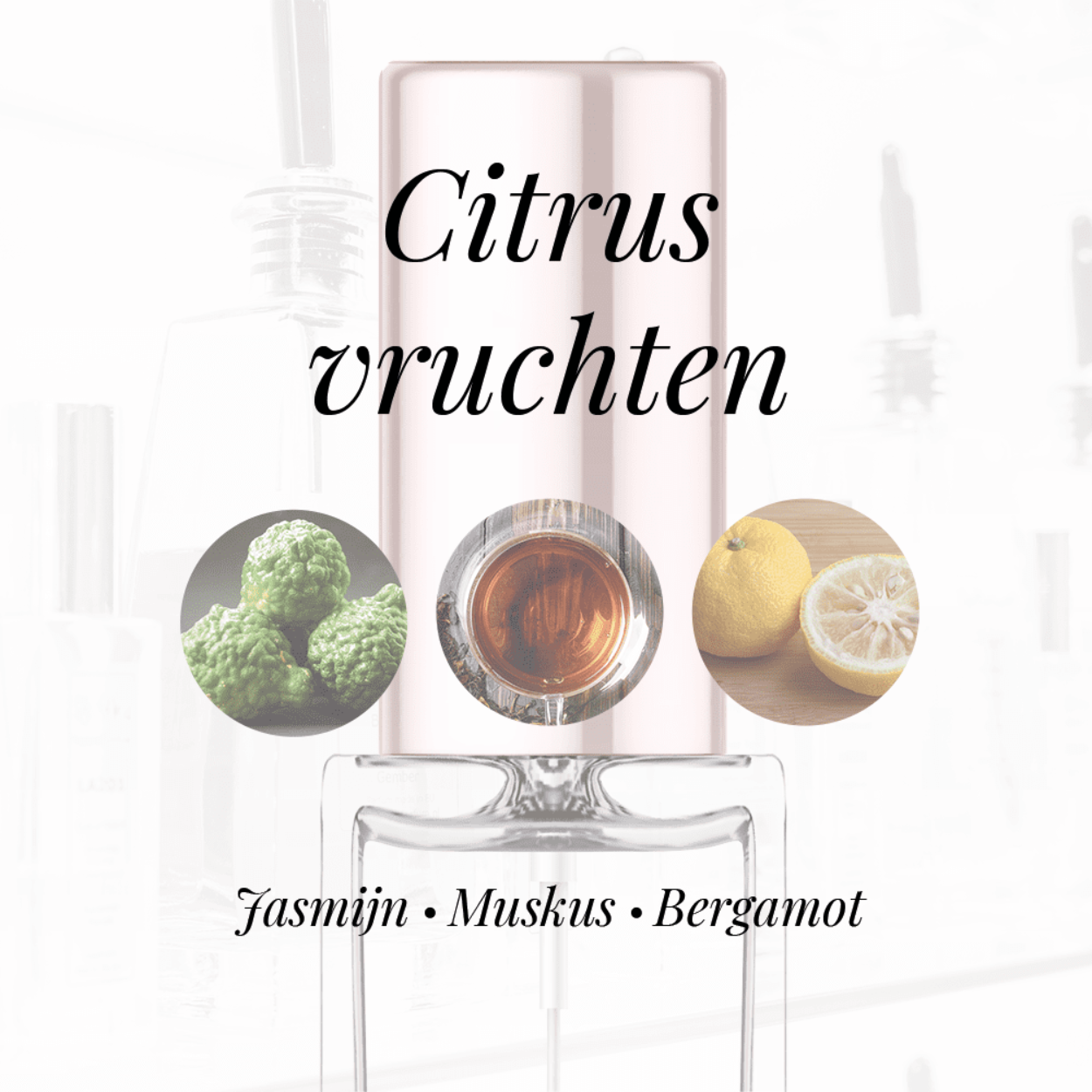 Eigenschappen
Geur: Citrusvruchten
Waarneembare geuren: Bergamot, Jasmijn, Muskus
Sillage: Midden
Seizoen: All season
Eigenschap: Comfort
Stijl: Casual
Geurgroep: Bloemig Houtachtig Musk
Hoofdakkoorden: Citrusvruchten, Houtachtig, Witte bloemen, Muskachtig, Balsemachtig
Top noten: Bergamot en Mandarijn
Midden noten: Grasse Roos, Jasmijn, Cassis en Perzik
Basis noten: Sandelhout, Ceder, White Musk, Patchouli en Benzoine