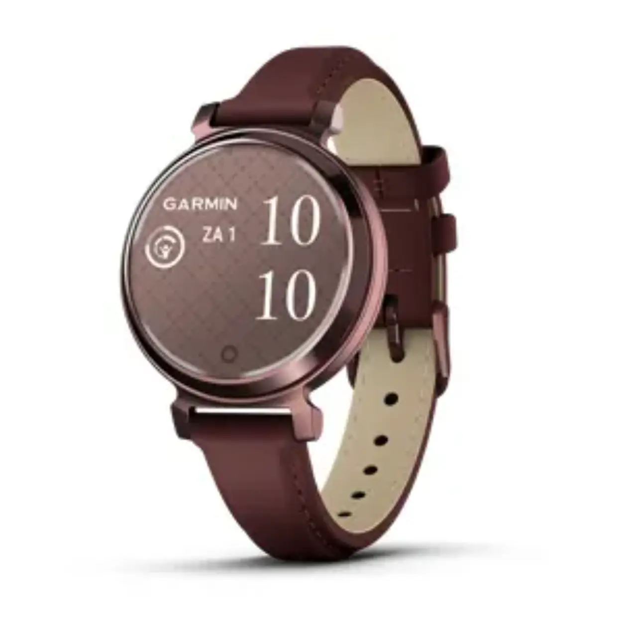 Garmin 010-02839-03 Lily 2 Classic