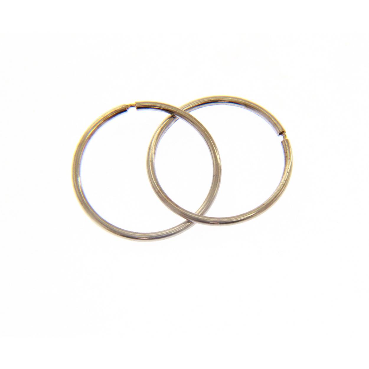 Wit gouden oorringen in 18 kt goud met buissluiting
Dikte: 1mm
Diameter: 15mm
Ook verkrijgbaar in andere afmetingen/goudkleur