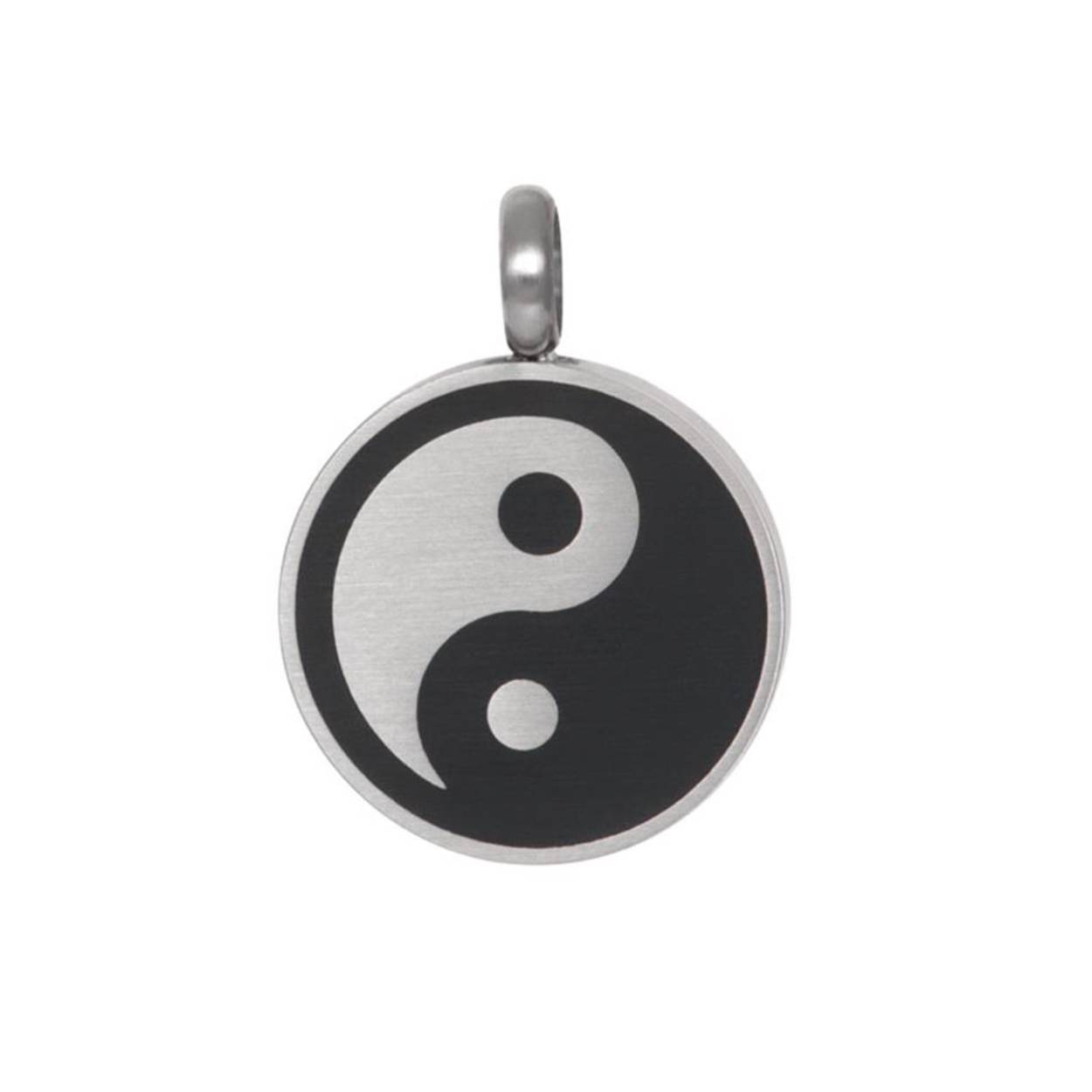 Deze hanger is van het merk iXXXi JEWELRY. Het is een herensieraad gemaakt van edelstaal. De hanger is  van kleur.