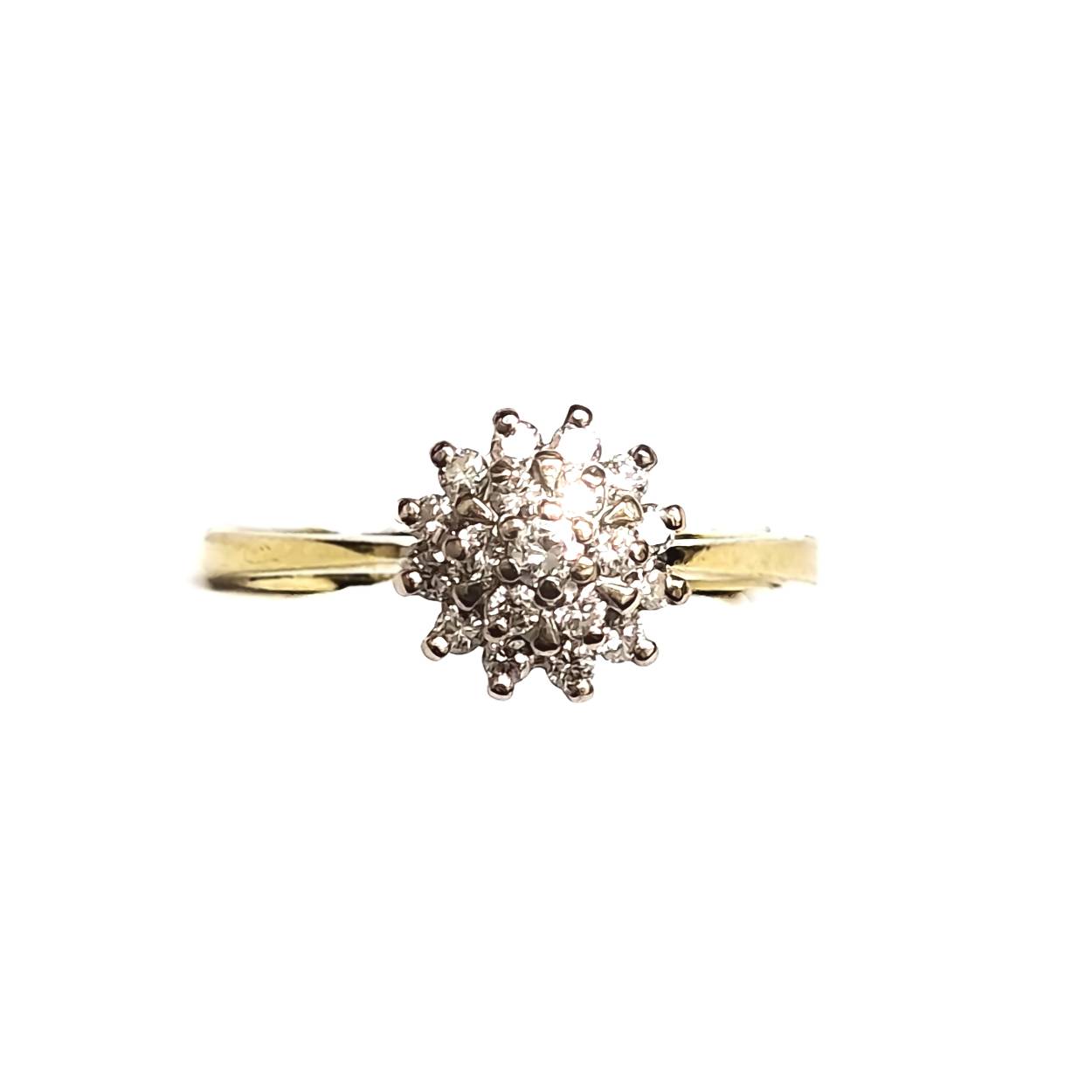 Dubbel entourage geel gouden ring met 0.35 briljant