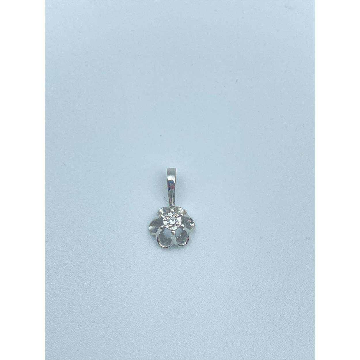14 karaat wit gouden solitair diamanten hanger in de vorm van een bloem.

Soort: Diamant
Slijpvorm: briljant
Karaat: 0.03
Helderheid: VS1
Kleur: G
Aantal: 1