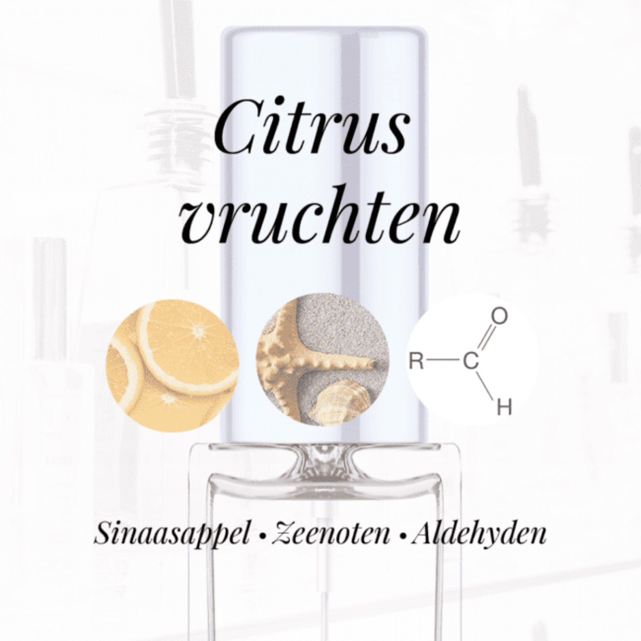 Eigenschappen
Geur: Citrusvruchten
Waarneembare geuren: Aldehyden, Sinaasappel, Zeenoten
Sillage: Midden
Seizoen: Lente/Zomer
Eigenschap: Spontaan
Stijl: Sportief
Geurgroep: Houtachtig Kruidige
Hoofdakkoorden: Citrusvruchten, Aromatisch, Aldehydisch, Maritiem, Fris kruidig, Vanille
Top noten: Aldehyde, Sinaasappel, Bloed mandarijn en Zeenoten
Midden noten: Peper, Neroli en Ceder
Basis noten: Tonkaboon, Amber, Vanille, Vetiver, Witte musk en Elemi hars