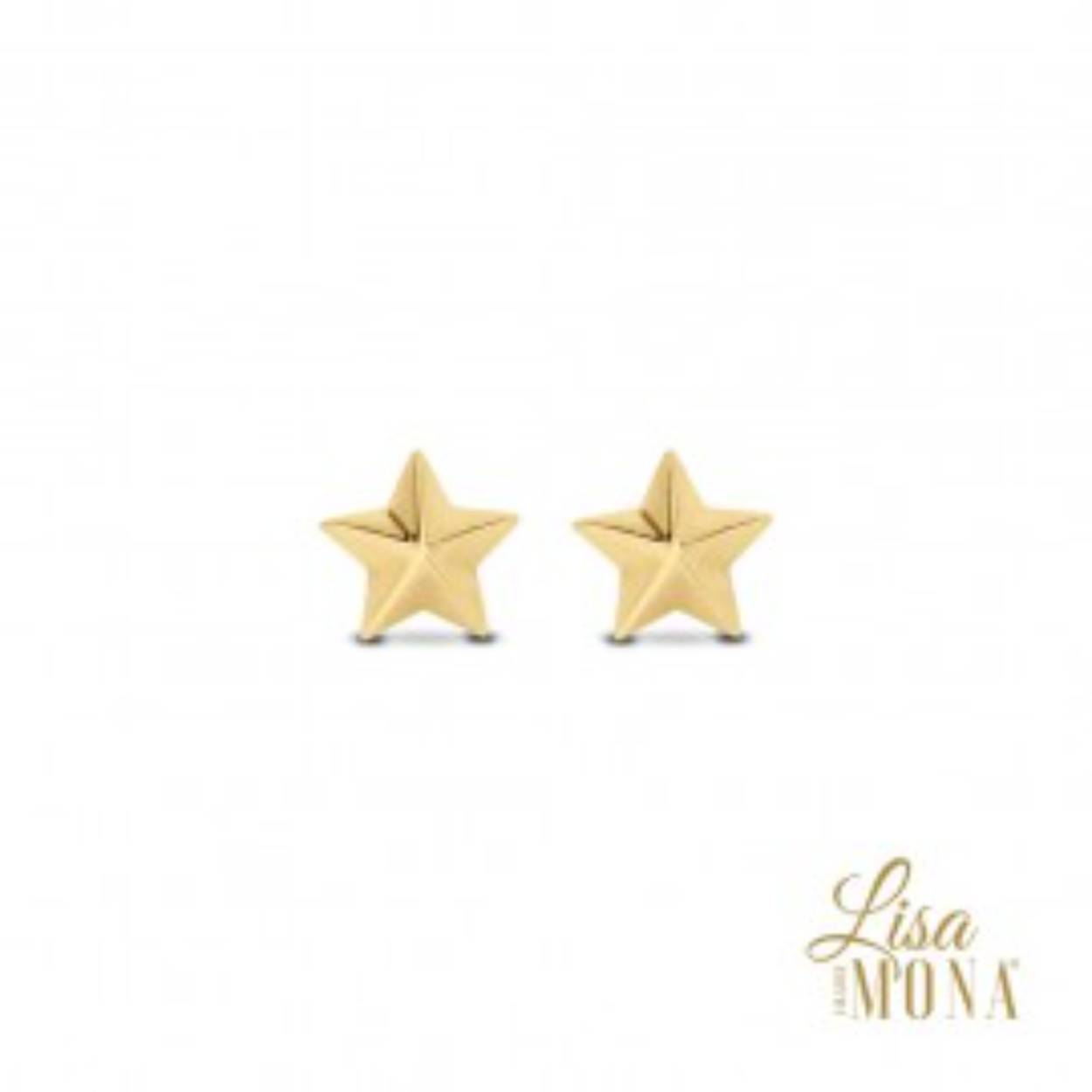 Lisa Mona Oorstekers goud 14k ster