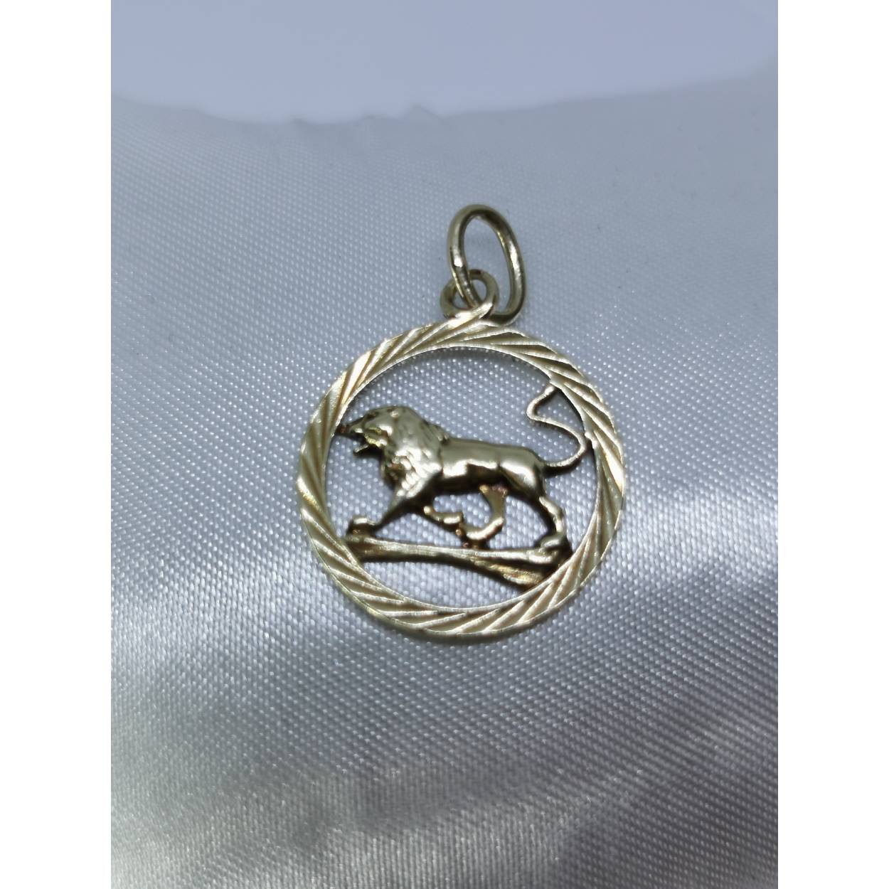 14 Karaat geel gouden hanger sterrenbeeld leeuw rond. Combineer deze leuke hanger met een collier uit onze assortiment!