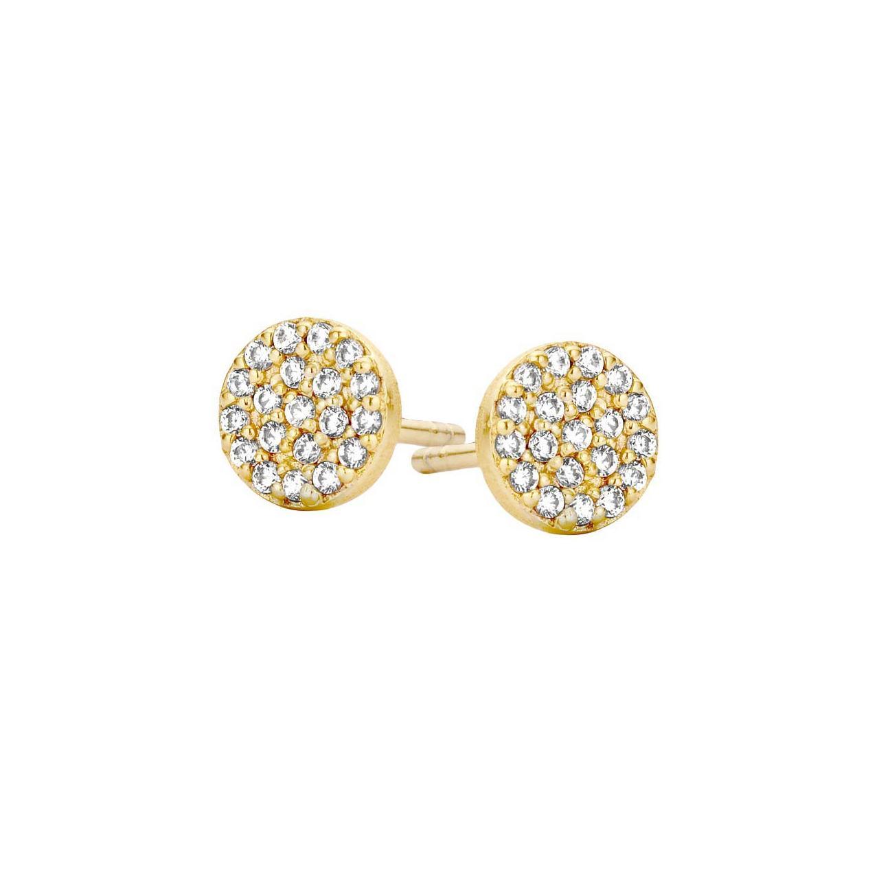 40192 | Deze prachtige Mini oorstekers zijn gemaakt van verguld sterlingzilver met een glanzend oppervlak. De oorstekers zijn ontworpen als een kleine cirkel, geplaveid met stralende zirkonia, waardoor een elegante en toch eenvoudige look ontstaat. De oorstekers kunnen ook gedragen worden met een bijpassende ring en ketting.