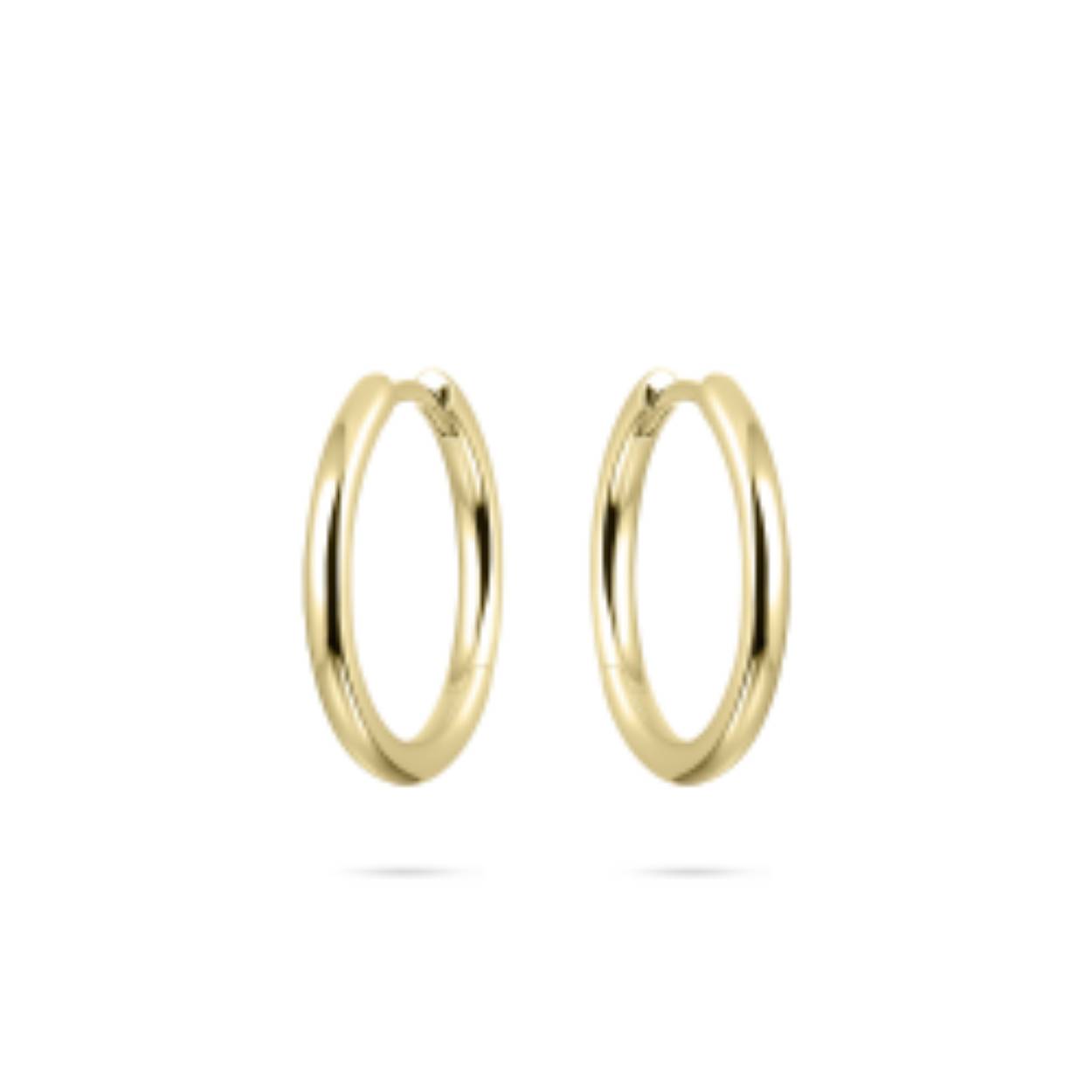 zilver verguld 