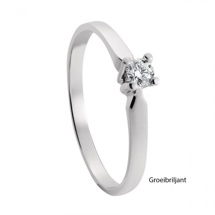 De IDN 14krt witgouden ring met diamant, is een verfijnde ring gemaakt van 14-karaats goud. Het bevat een briljant geslepen diamant van 0,07 karaat. Deze VS1 zuivere diamant heeft een G (Fijn wit Top Wesselton) kleur. Perfect voor dagelijks gebruik of speciale gelegenheden. Draag stevig aan ringmaat 55 voor optimale elegantie.