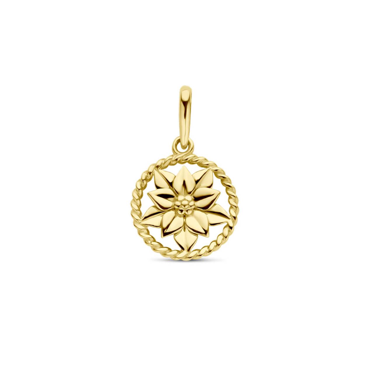 14k Geelgouden hanger met een geboortebloem. De hanger heeft een totale hoogte van 17mm. december, kerstster