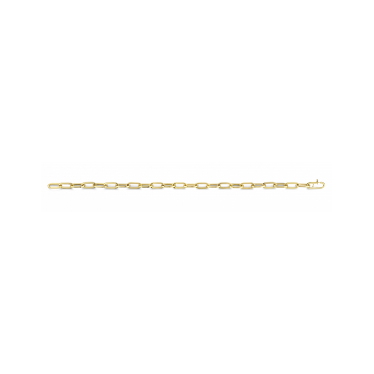 Armband met closed for ever schakel, goud met zilveren kern.