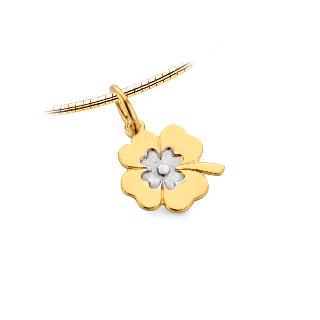 18 kt gouden hanger (goud/zilverkleurig) van Cara
Bijhorende oorstekers ook verkrijgbaar.
Exclusief de ketting.