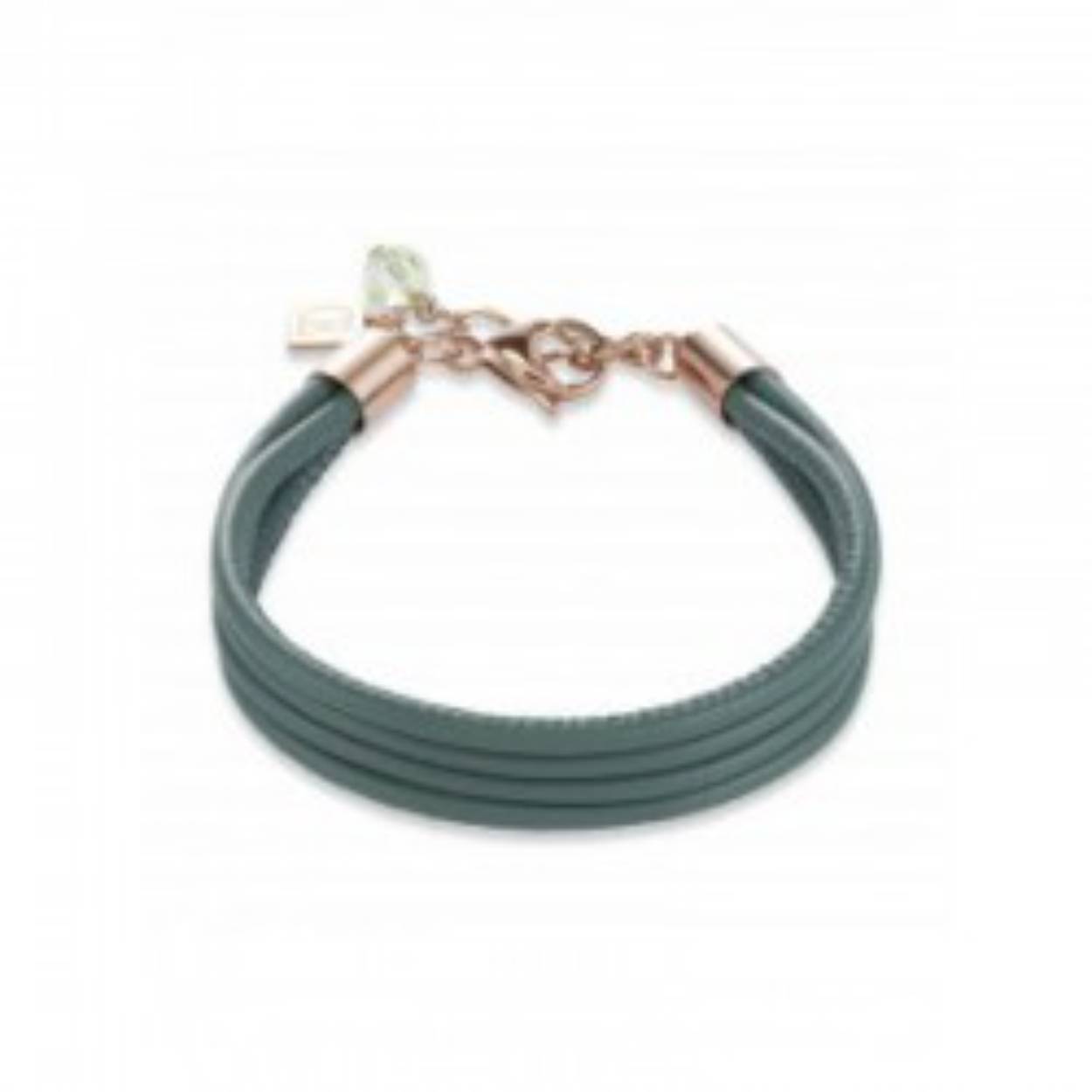 Coeur de Lion 0219/30-532