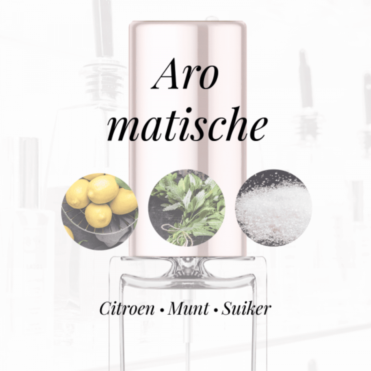 EIGENSCHAPPEN
Geur: Aromatisch
Waarneembare geuren: Citroen, Munt, Suiker
Sillage: Midden
Seizoen: Lente, Zomer
Eigenschap: Vrolijk
Stijl: Sportief
Geurgroep: Bloemig Aquatisch
Hoofdakkoorden: Citrusvruchten, Aromatische, Groen, Zoet, Fris, Witte bloemen
Top noten: Amalfi citroen en Munt
Midden noten: Jasmijn, Roze peper en Pioenroos
Basis noten: Franse labdanum, Ceder uit Virginia en Suiker