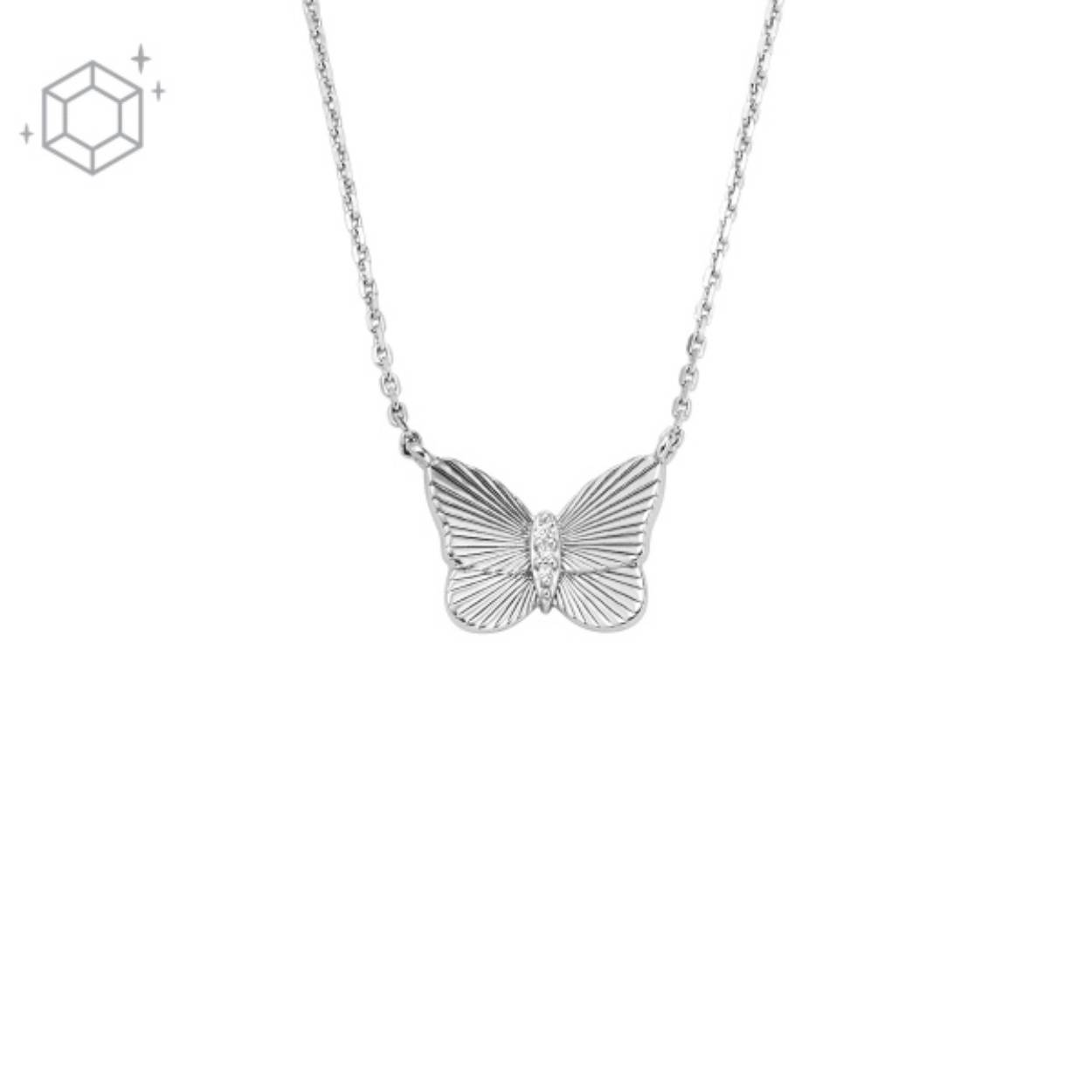 FOSSIL COLLIER BUTTERFLIES JFS00619040