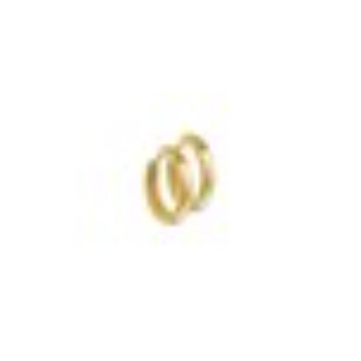 14k geelgouden klapcreool vlak