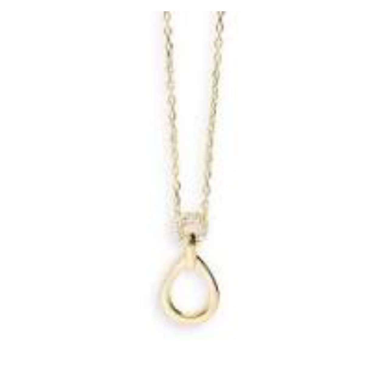 gouden hanger met dia