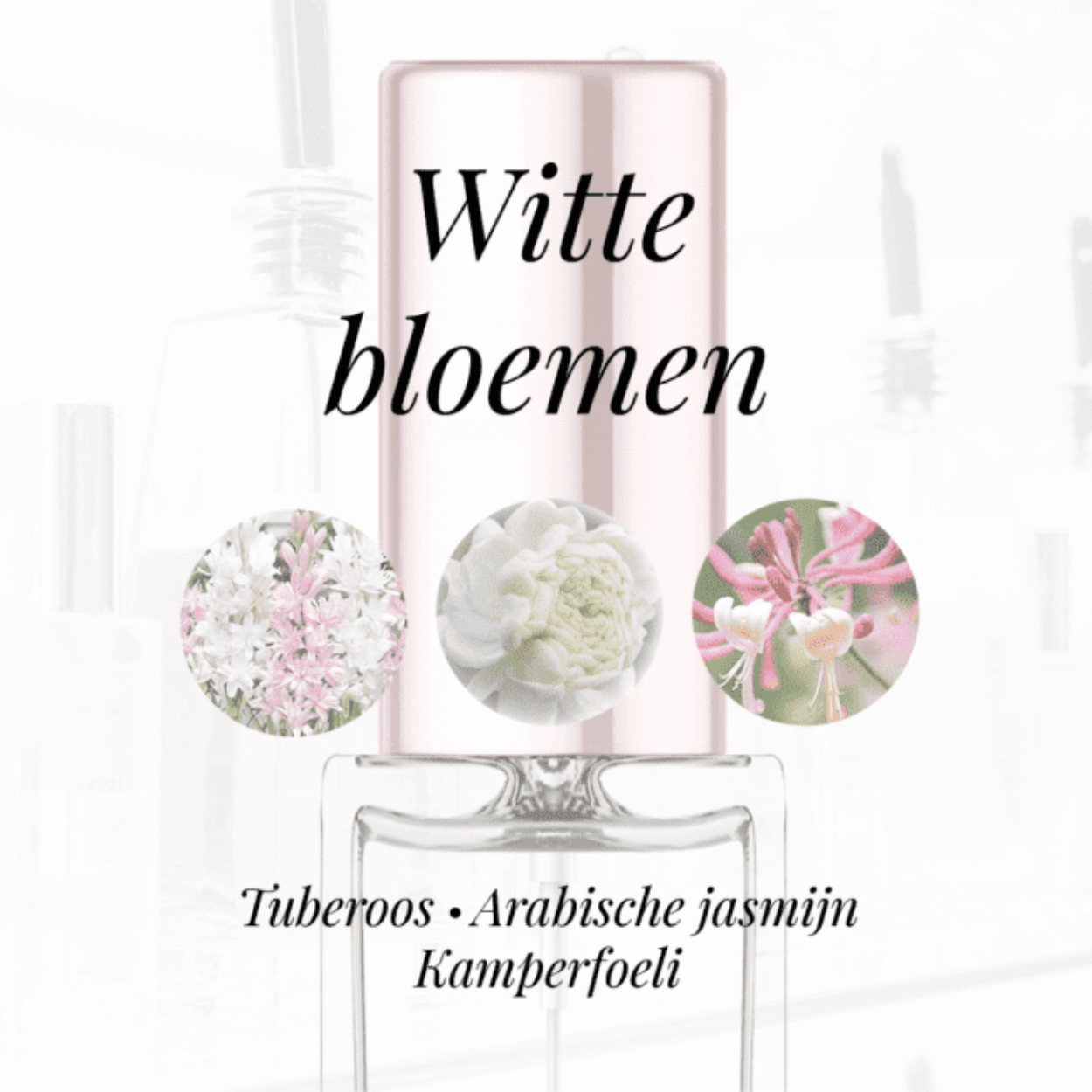 Eigenschappen
Geur: Witte bloemen
Waarneembare geuren: Arabische Jasmijn, Kamperfoeli, Tuberoos
Sillage: Midden
Seizoen: Lente
Eigenschap: Geraffineerd
Stijl: Elegant
Geurgroep: Bloemige
Hoofdakkoorden: Witte bloemen, Tuberoos, Dierlijk, Poederig, Houtachtig
Top noten: Sinaasappel en Groene noten
Midden noten: Tuberoos, Arabische jasmijn en Kamperfoelie
Basis noten: Orris wortel, Sandelhout en Vanille