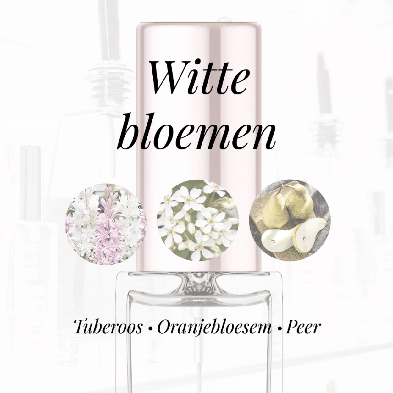 Eigenschappen
Geur: Witte bloemen
Waarneembare geuren: Oranjebloesem, Peer, Tuberoos
Sillage: Zwaar
Seizoen: Herfst/Winter
Eigenschap: Charmant
Stijl: Elegant
Geurgroep: Oriëntaals Bloemige
Hoofdakkoorden: Witte bloemen, Tuberoos, Zoet, Patchouli, Vanille, Dierlijk
Top noten: Bergamot en Peer
Midden noten: Tuberoos, Oranjebloesem en Arabische Jasmijn
Basis noten: Patchouli, Vetiver, Ambroxan en Vanille