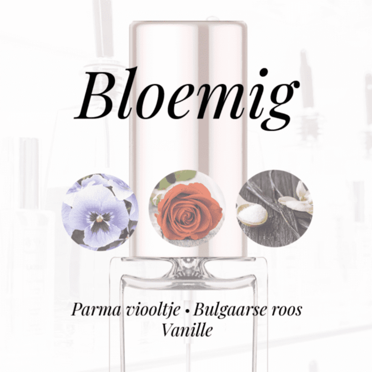 Eigenschappen
Geur: Bloemig
Waarneembare geuren: Bulgaarse roos, Parma viooltje, Vanille
Sillage: Zwaar
Seizoen: All season
Eigenschap: Chic
Stijl: Trendy
Geurgroep: Oriëntaals Bloemige
Hoofdakkoorden: Bloemig, Poederig, Balsemachtig, Roos, Vanille
Top noten: Zwarte bes, Hagedoorn, Bulgaarse Roos en Mandarijn
Midden noten: Opoponax, Jasmijn, Parma Viooltje en Roos
Basis noten: Vanille, Witte musk en Wierook
