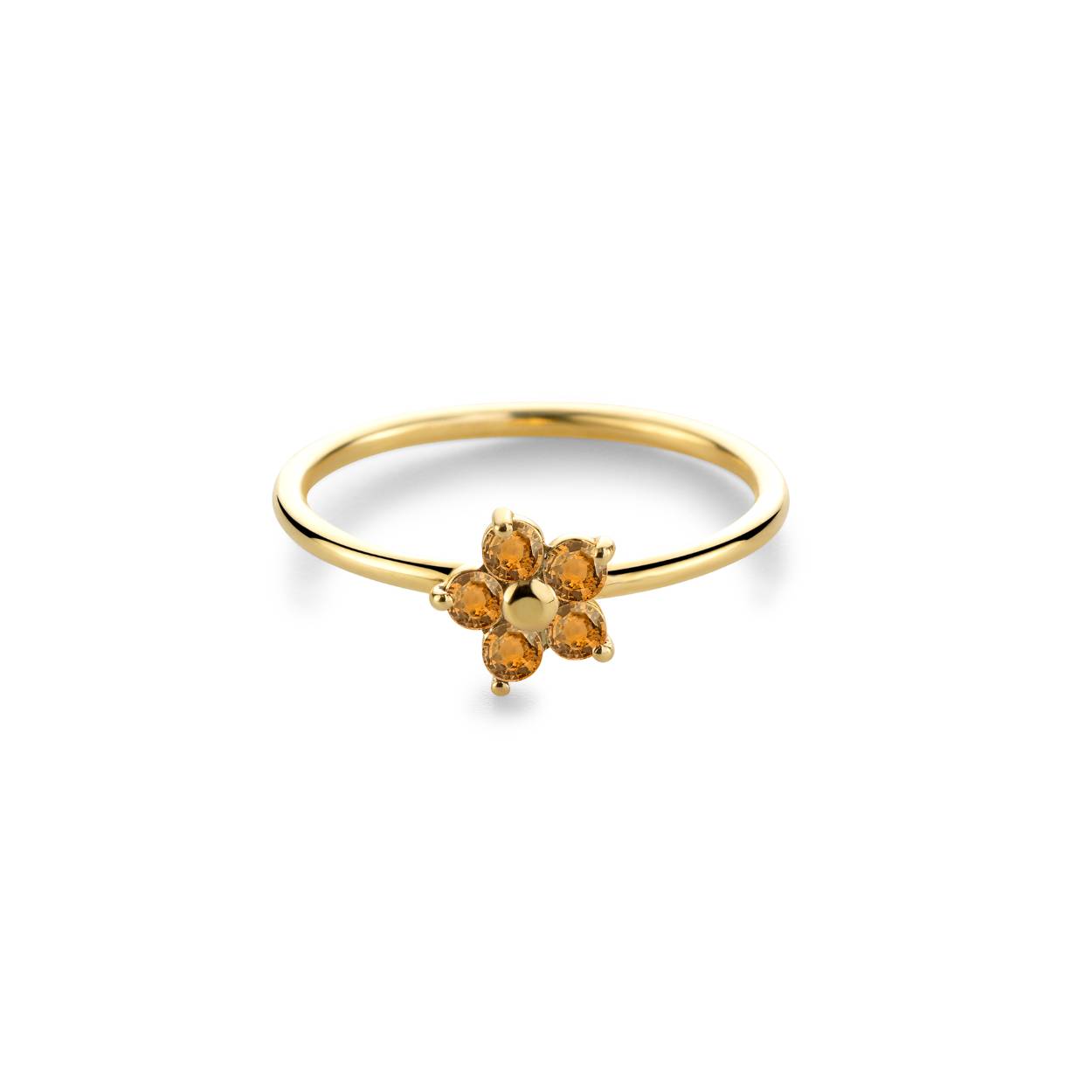 14 kt gouden ring 'Spiced Orange' met oranje saffiertjes
Miss Spring collectie 'In Full Bloom'
Maat: 52 (ook verkrijgbaar in andere maten)
Bijhorende hanger, collier, oorbellen en armband ook verkrijgbaar.