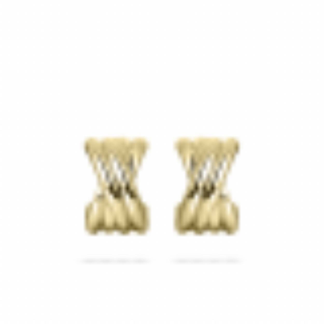 E1070Y oorstekers zilver verguld
