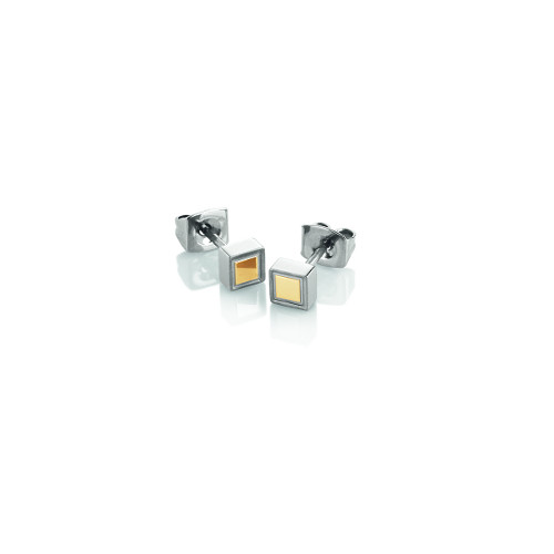 Titanium Oorknoppen met Goud