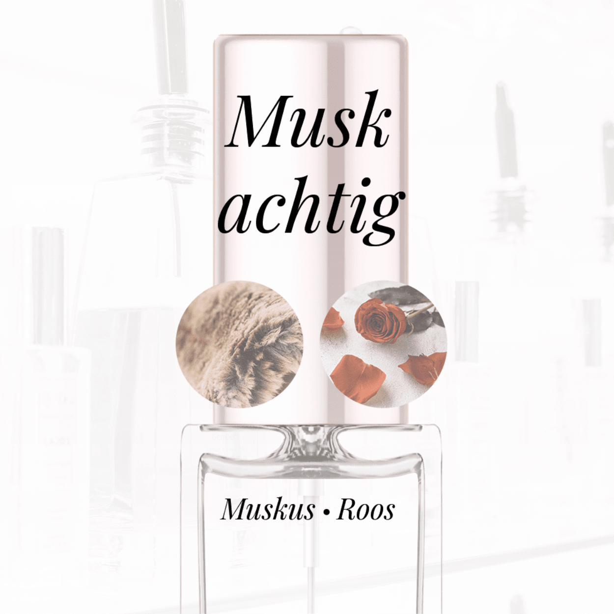 Eigenschappen
Geur: Muskachtig
Waarneembare geuren: Muskus, Roos
Sillage: Midden
Seizoen: All season
Eigenschap: Populair
Stijl: Elegant
Geurgroep: Bloemig Houtachtige Musk
Hoofdakkoorden: kachtig, Roos, Patchouli, Balsemachtig, Warm kruidig, Poederig
Top noten: Roos en Perzik
Midden noten: Muskus en Amber
Basis noten: Sandelhout en Patchouli