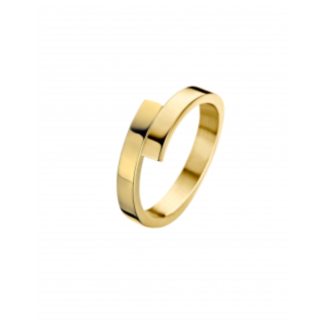 Fjory slagring 14k geel
