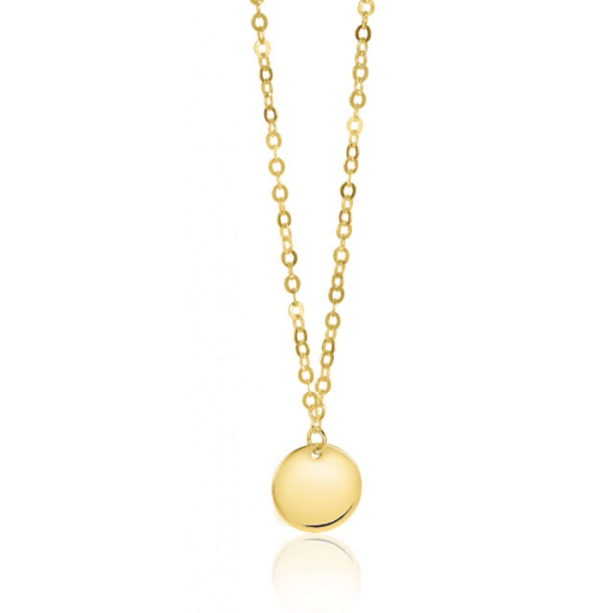 collier met rond plaatje 40-45 cm 14 karaat goud