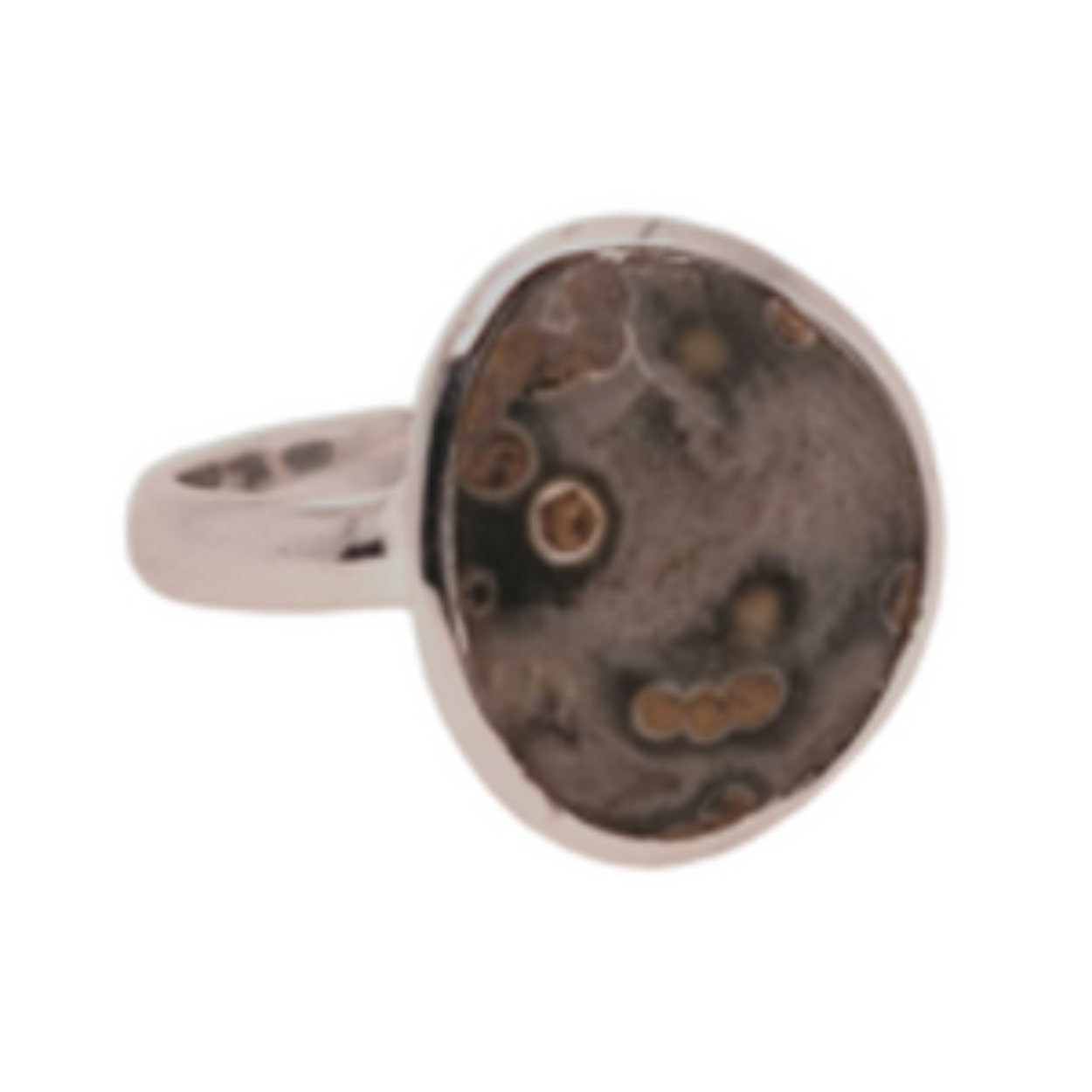 zilveren ring met ocean jaspis