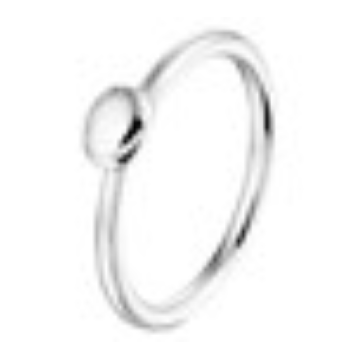 1330389 Zilver gerhodineerd