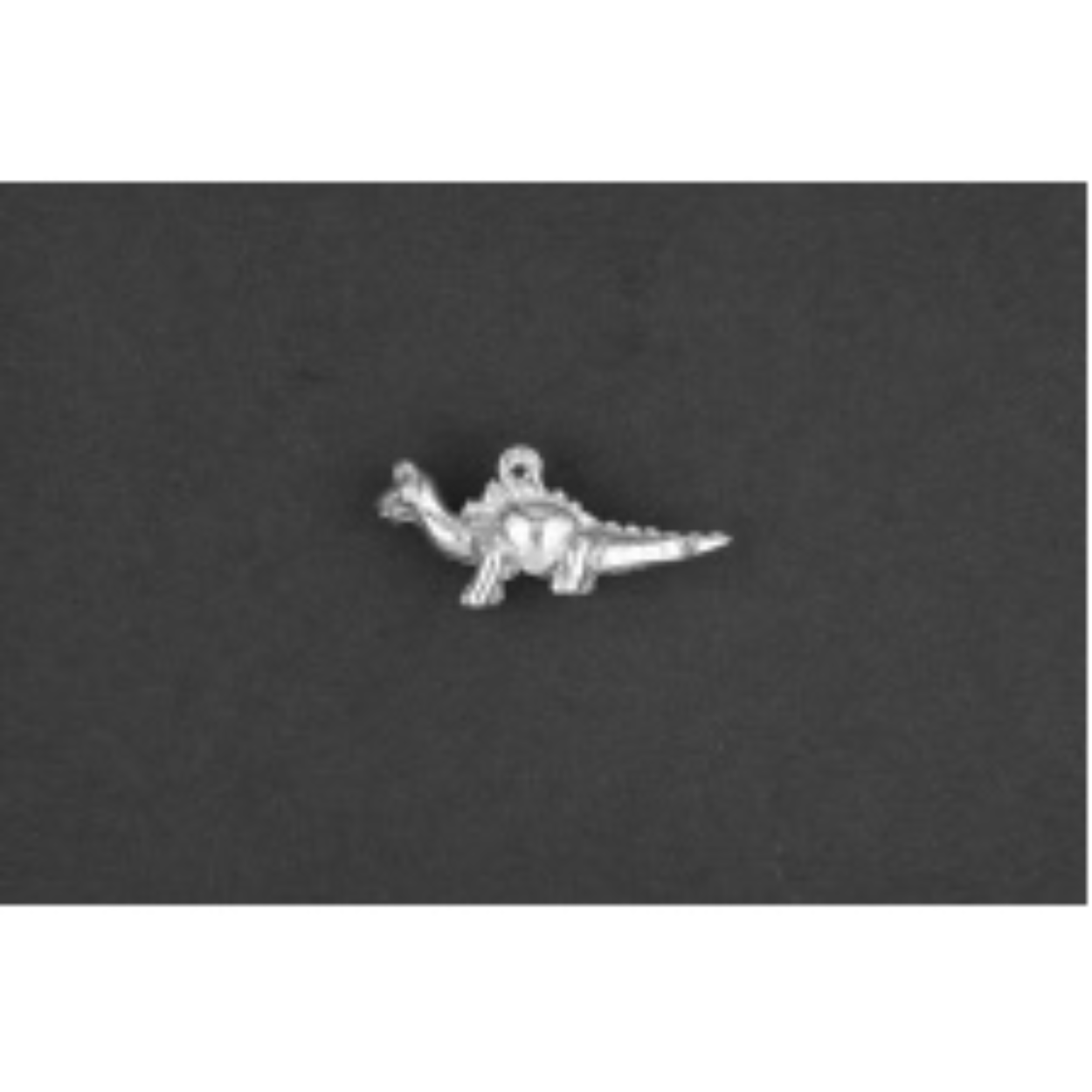 Dinosauriër zilver
De bedel maat is in mm Lengte x Hoogte
± L 17.27 x H 4.70