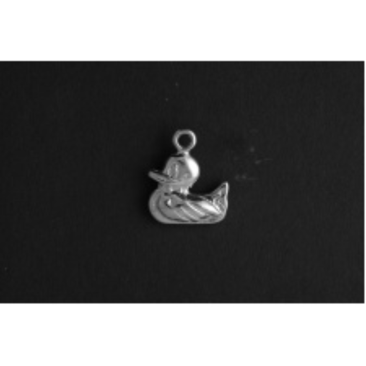 Bad eend zilver
De bedel maat is in mm Lengte x Hoogte
± L 17.60 x H 14.64