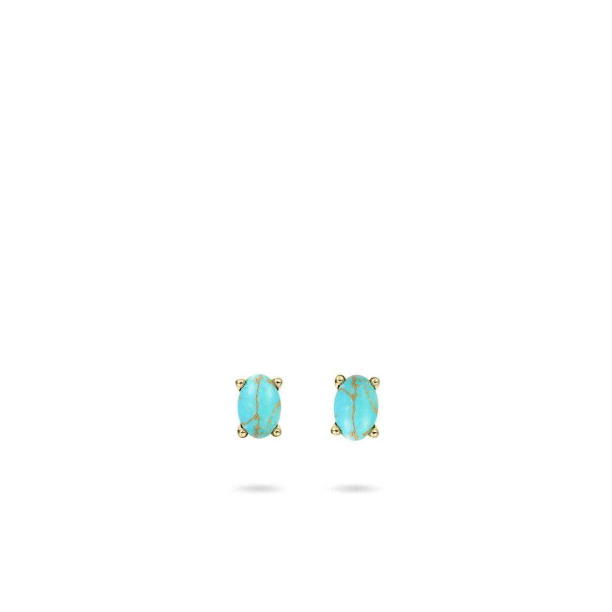 Zilver vergulde oorstekers met turquoise steen