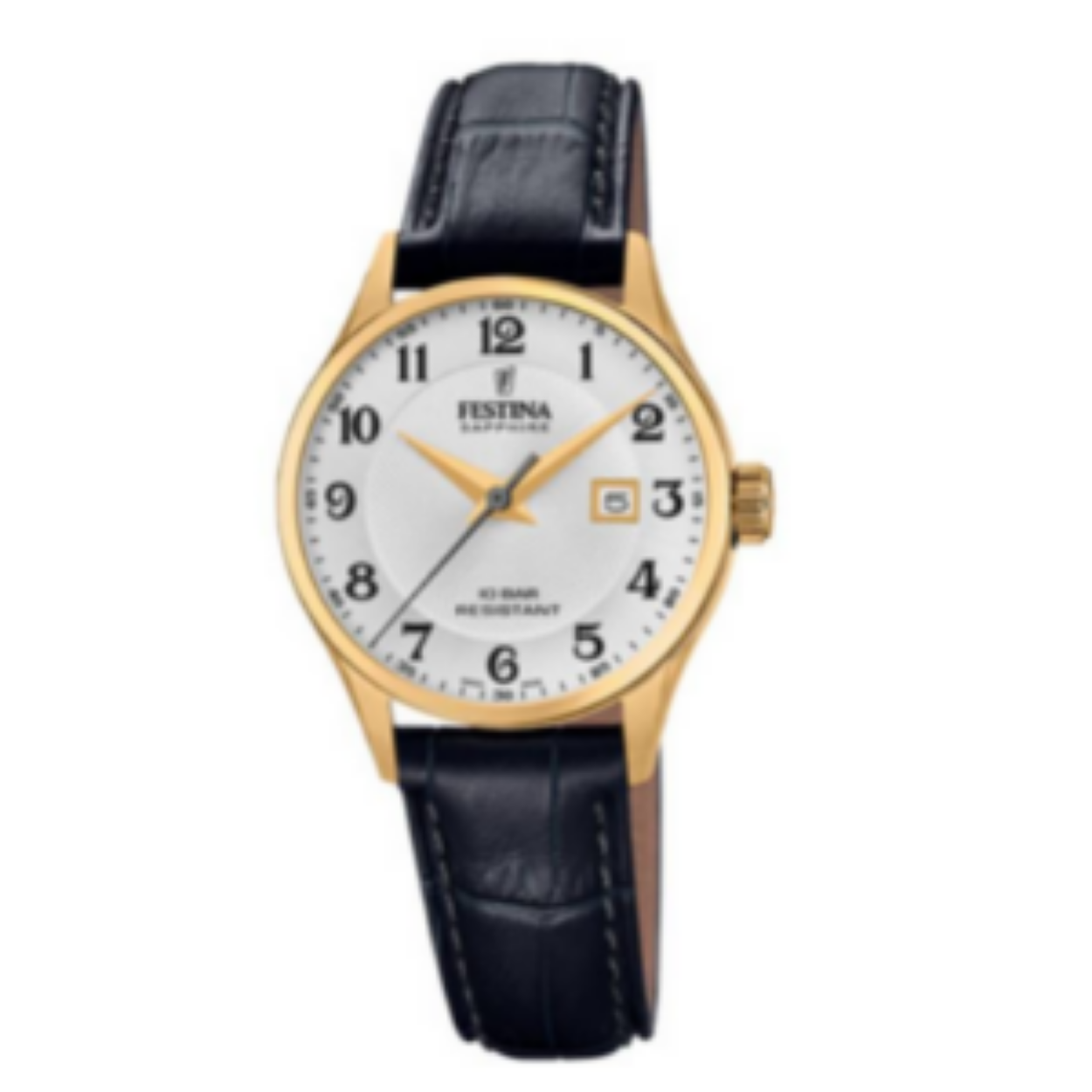 Festina F20011/5