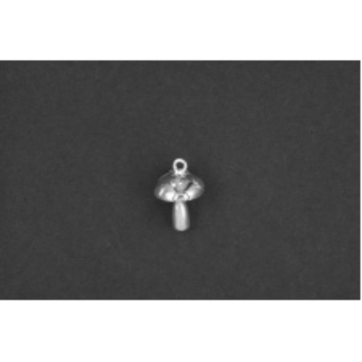 Paddenstoel zilver
De bedel maat is in mm Lengte x Hoogte
± L 14.73 x H 9.74